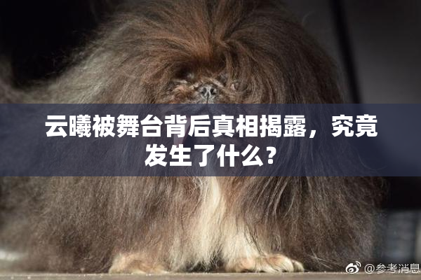 云曦被舞台背后真相揭露，究竟发生了什么？