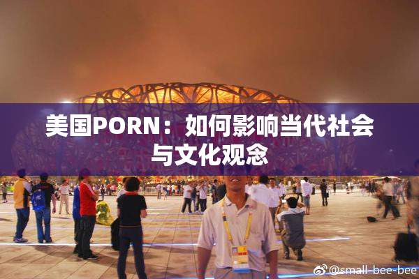 美国PORN：如何影响当代社会与文化观念