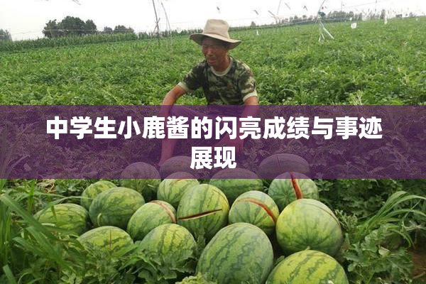 中学生小鹿酱的闪亮成绩与事迹展现