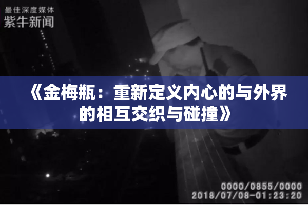 《金梅瓶：重新定义内心的与外界的相互交织与碰撞》