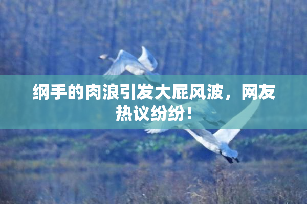 纲手的肉浪引发大屁风波，网友热议纷纷！