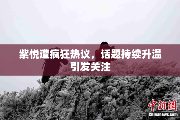 紫悦遭疯狂热议，话题持续升温引发关注