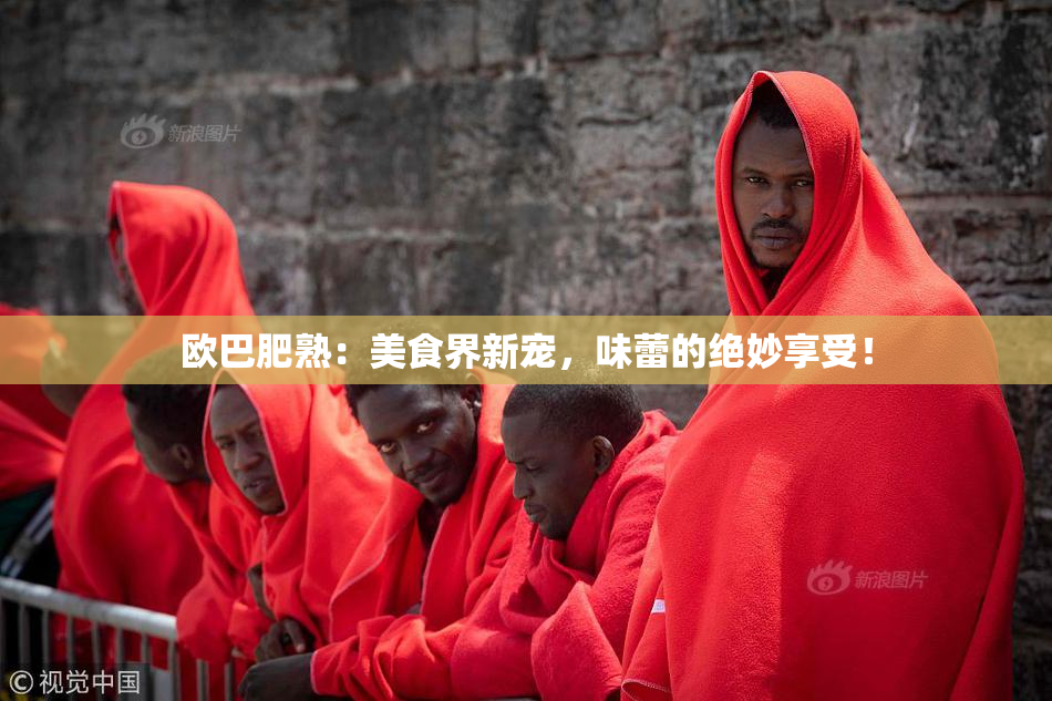 欧巴肥熟：美食界新宠，味蕾的绝妙享受！