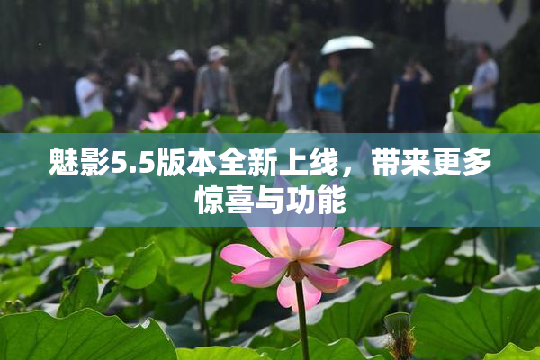 魅影5.5版本全新上线，带来更多惊喜与功能
