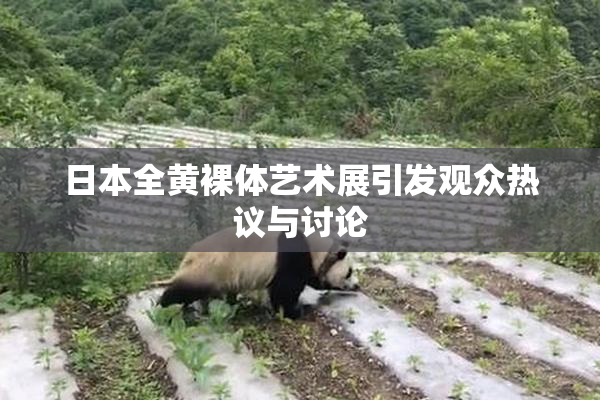日本全黄裸体艺术展引发观众热议与讨论