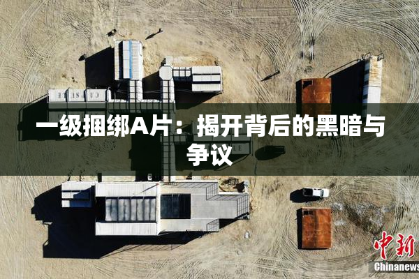 一级捆绑A片：揭开背后的黑暗与争议