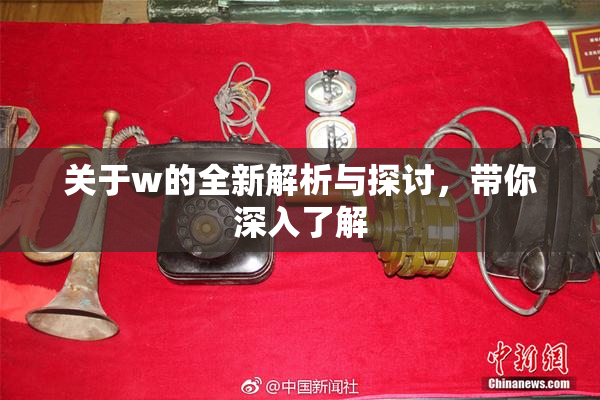 关于w的全新解析与探讨，带你深入了解