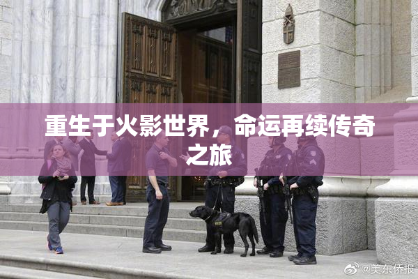重生于火影世界，命运再续传奇之旅