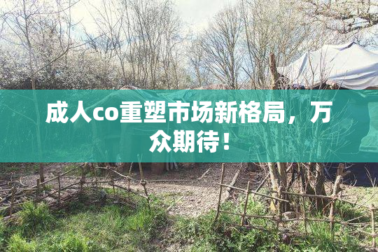 成人co重塑市场新格局，万众期待！