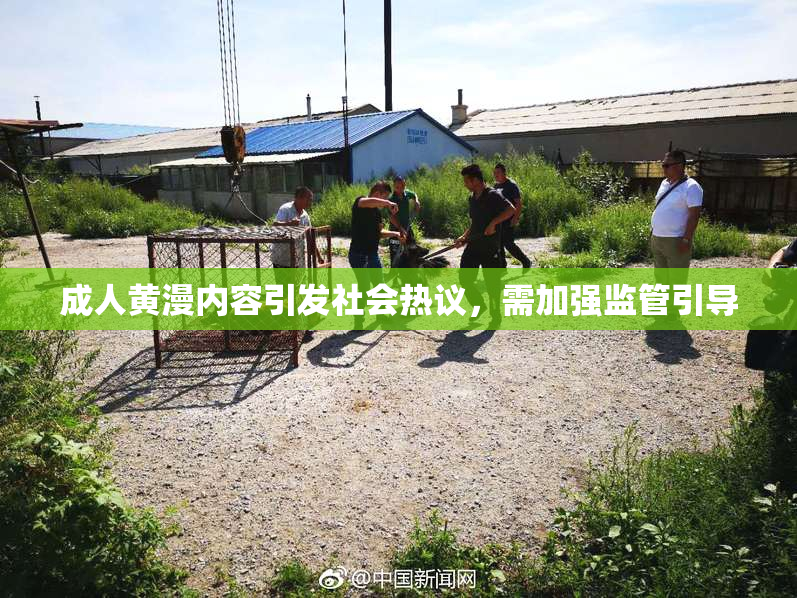 成人黄漫内容引发社会热议，需加强监管引导