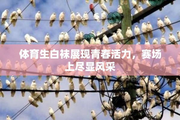 体育生白袜展现青春活力，赛场上尽显风采
