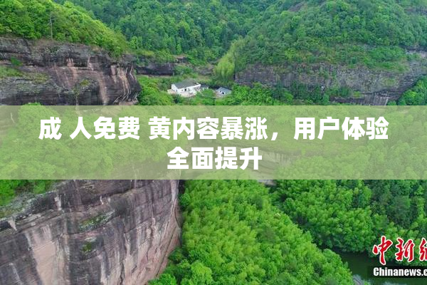 成 人免费 黄内容暴涨，用户体验全面提升