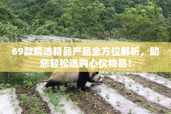 69款精选精品产品全方位解析，助您轻松选购心仪物品！