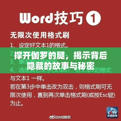 撑开伽罗的腿，揭示背后隐藏的故事与秘密