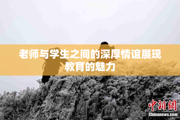 老师与学生之间的深厚情谊展现教育的魅力