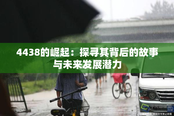 4438的崛起：探寻其背后的故事与未来发展潜力