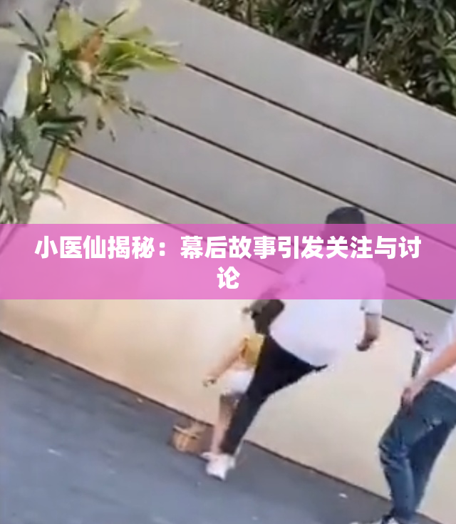小医仙揭秘：幕后故事引发关注与讨论