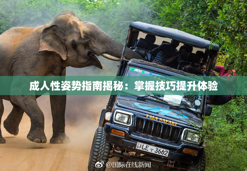 成人性姿势指南揭秘：掌握技巧提升体验