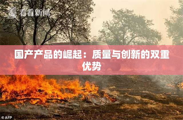 国产产品的崛起：质量与创新的双重优势