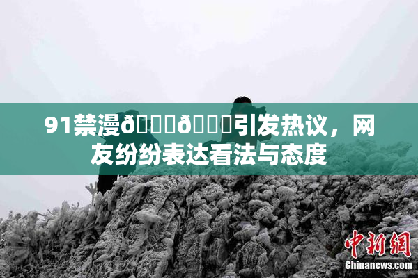 91禁漫🍆🍑引发热议，网友纷纷表达看法与态度