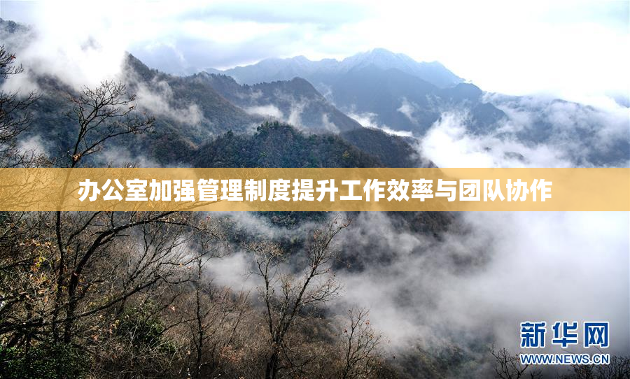 办公室加强管理制度提升工作效率与团队协作