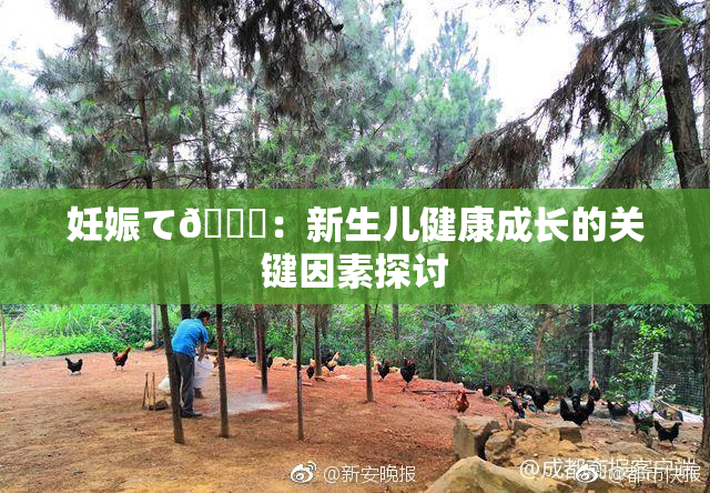 妊娠て🌃：新生儿健康成长的关键因素探讨