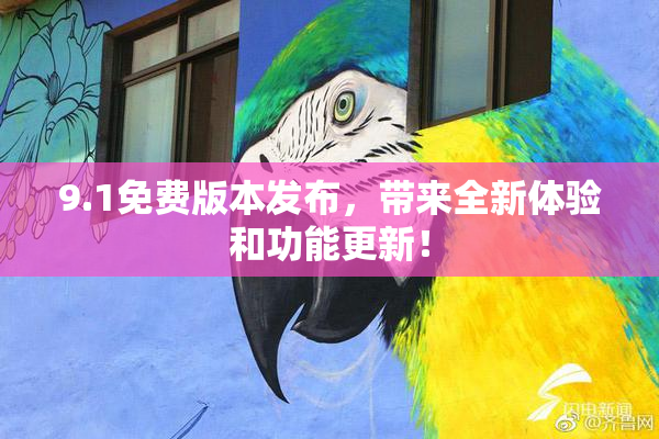 9.1免费版本发布，带来全新体验和功能更新！