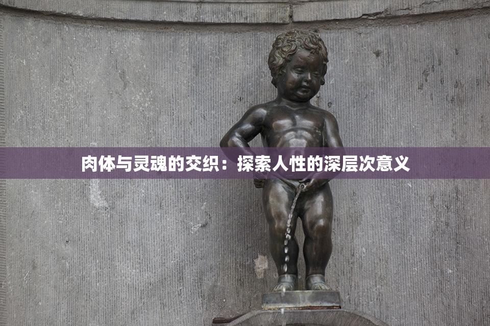 肉体与灵魂的交织：探索人性的深层次意义