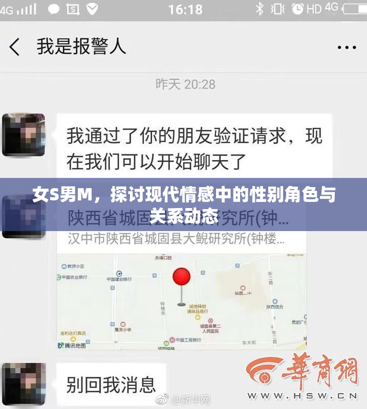 女S男M，探讨现代情感中的性别角色与关系动态