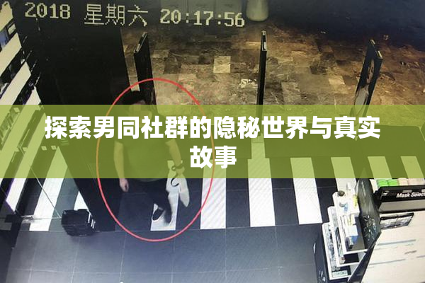 探索男同社群的隐秘世界与真实故事
