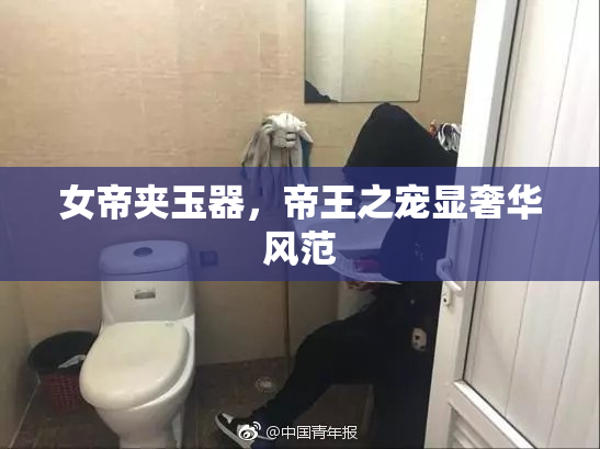女帝夹玉器，帝王之宠显奢华风范