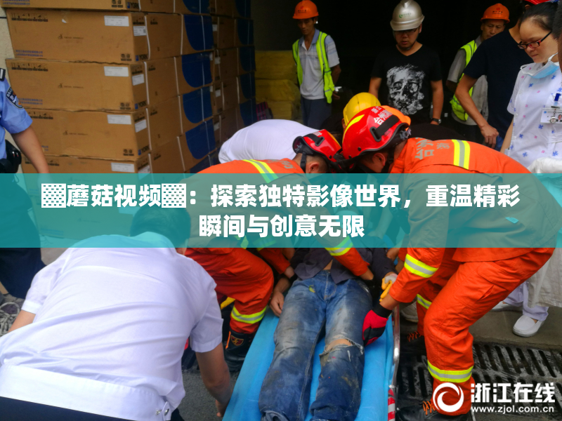 ▓蘑菇视频▓：探索独特影像世界，重温精彩瞬间与创意无限