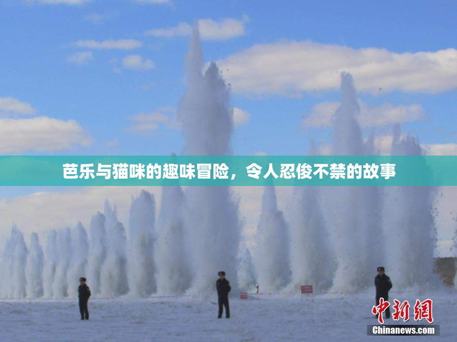 芭乐与猫咪的趣味冒险，令人忍俊不禁的故事