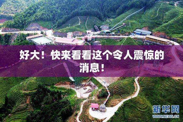 好大！快来看看这个令人震惊的消息！