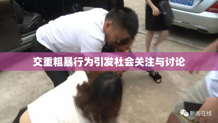 交重粗暴行为引发社会关注与讨论