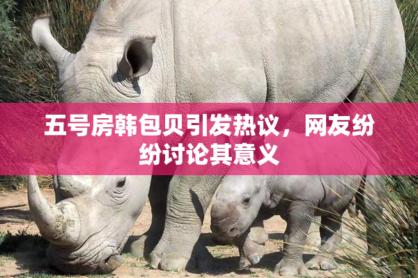 五号房韩包贝引发热议，网友纷纷讨论其意义