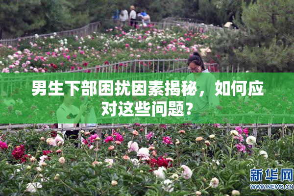 男生下部困扰因素揭秘，如何应对这些问题？