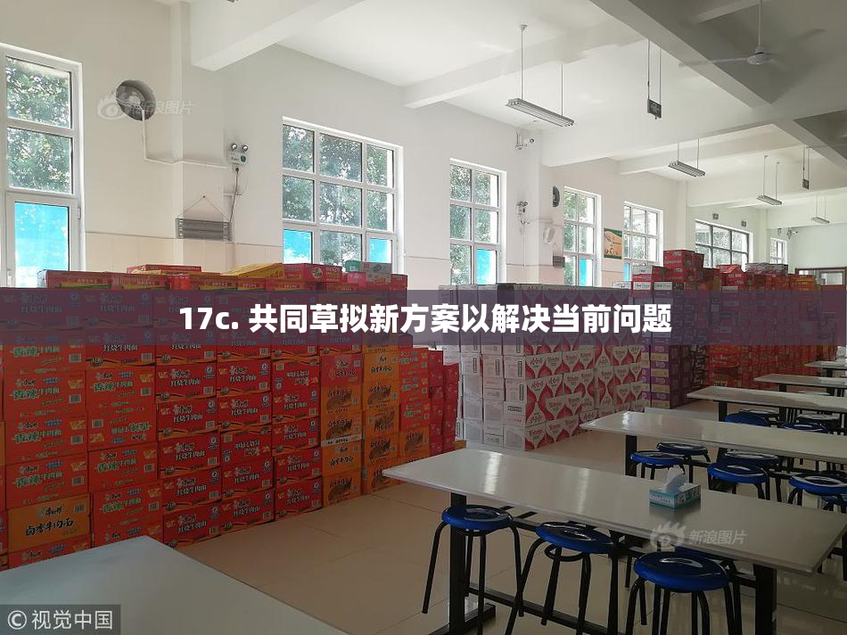 17c. 共同草拟新方案以解决当前问题