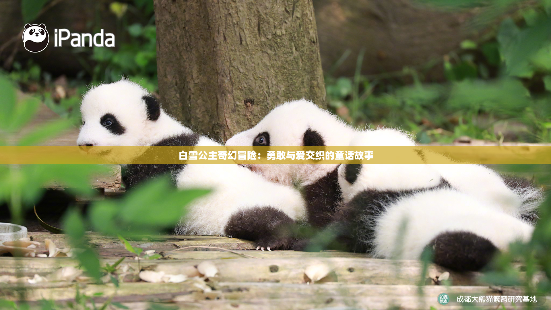 白雪公主奇幻冒险：勇敢与爱交织的童话故事