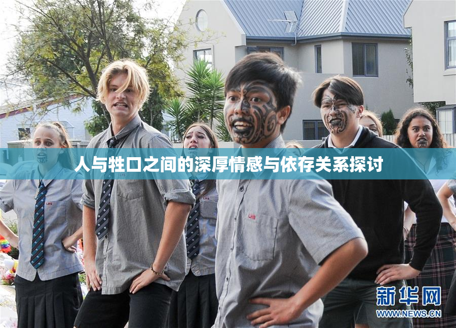 人与牲口之间的深厚情感与依存关系探讨