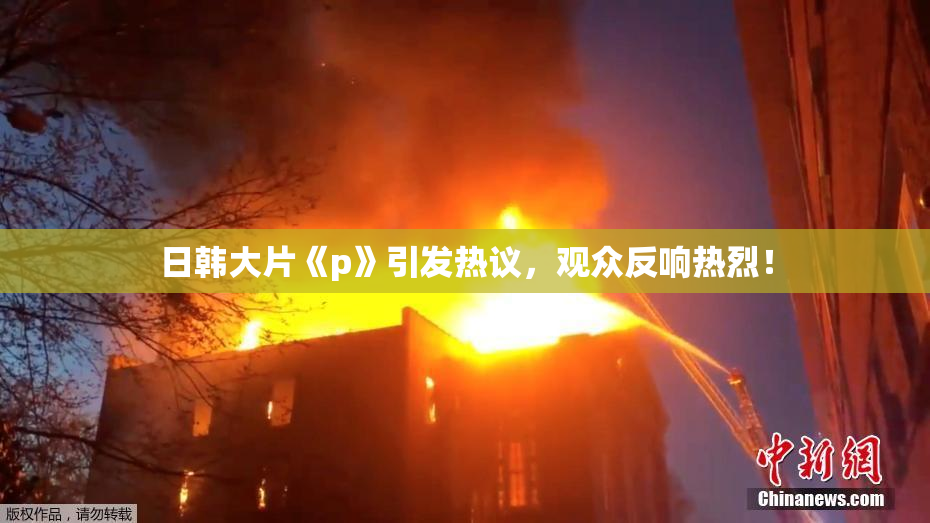 日韩大片《p》引发热议，观众反响热烈！