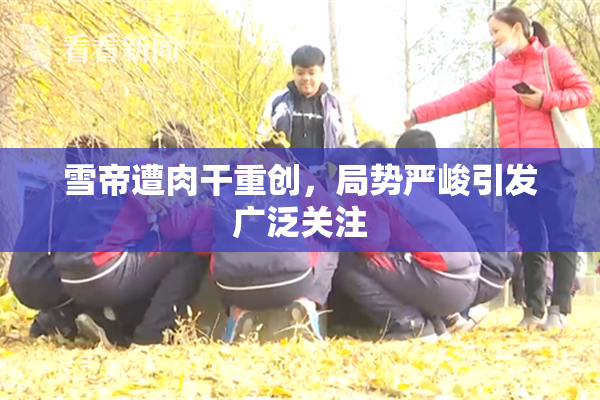 雪帝遭肉干重创，局势严峻引发广泛关注