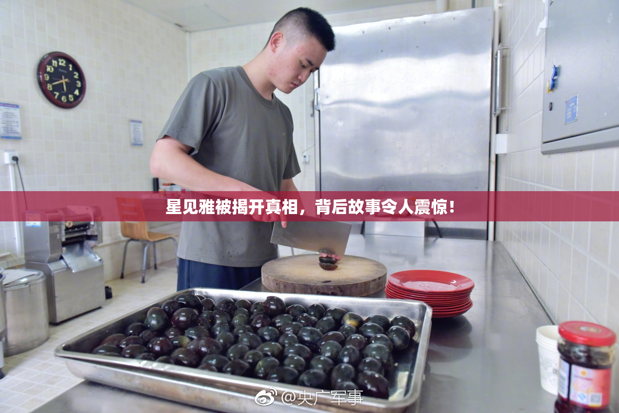 星见雅被揭开真相，背后故事令人震惊！