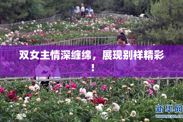 双女主情深缠绵，展现别样精彩！