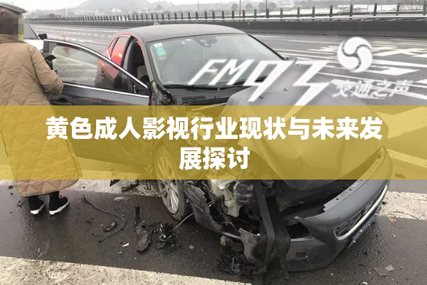 黄色成人影视行业现状与未来发展探讨