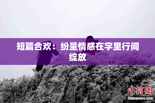 短篇合欢：纷呈情感在字里行间绽放