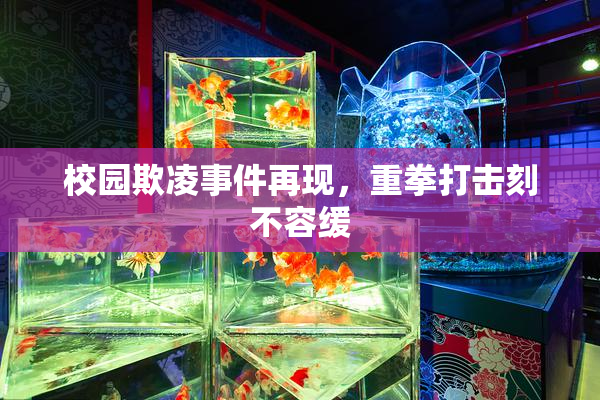 校园欺凌事件再现，重拳打击刻不容缓