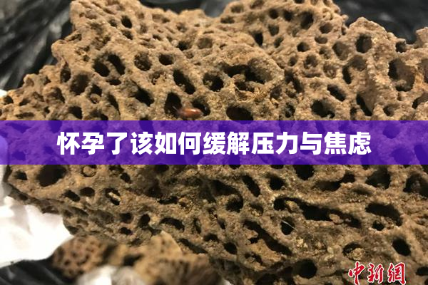 怀孕了该如何缓解压力与焦虑