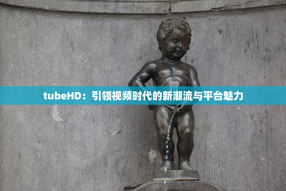 tubeHD：引领视频时代的新潮流与平台魅力