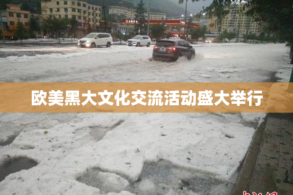 欧美黑大文化交流活动盛大举行